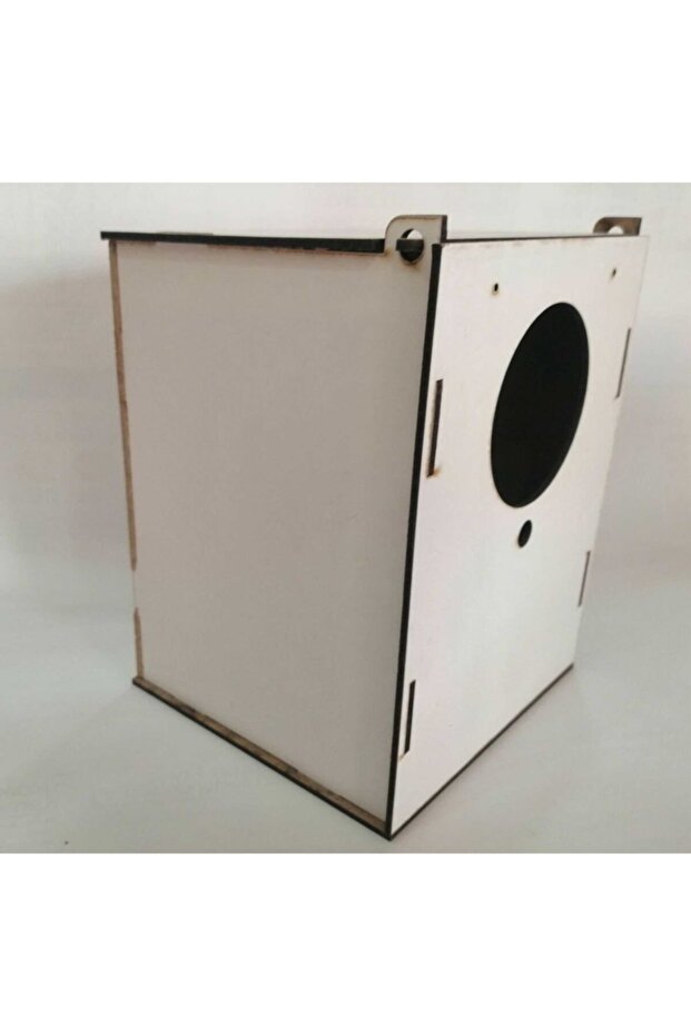 عش الطيور - 3