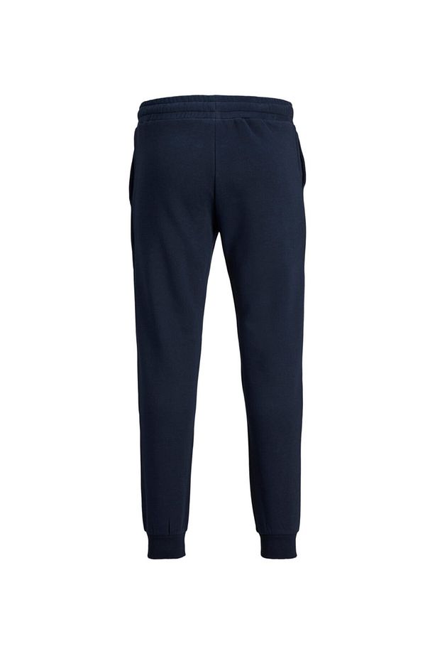 Regular Fit Düz Lacivert Erkek Eşofman Altı - 2
