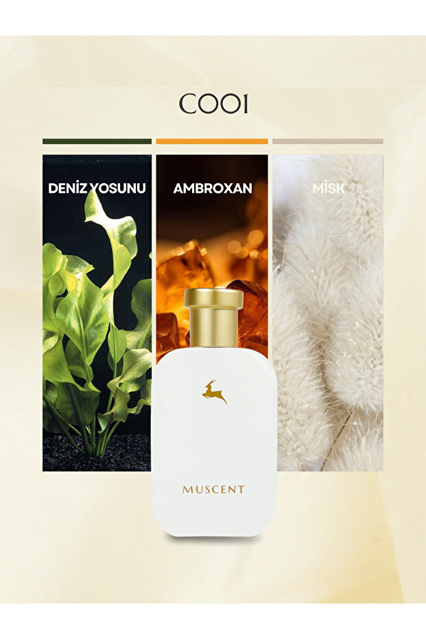 C001 Mega Amare 50 ml. - 1