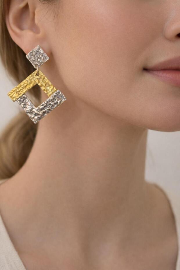 Steel Two-Tone Vip Earrings