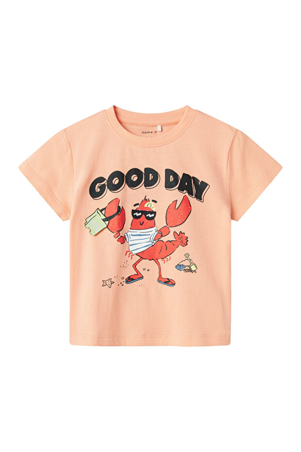 Nmmfısh Nreg Ss Top Box Pink Boy's Short Sleeve T-Shirt