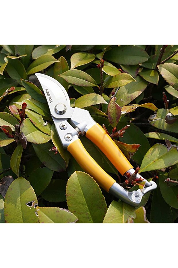 مقص تقليم بنمط متجاوز 8 بوصات - 7