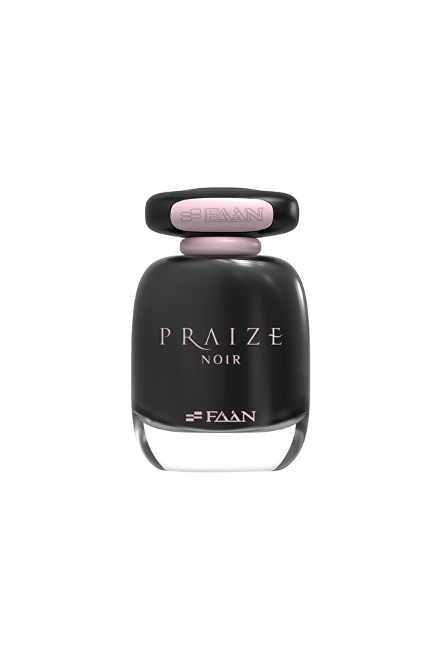 Praize Noir Eau De Parfum For Women, 100ML