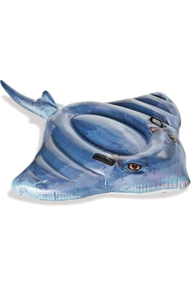 Stingray Pool Floater - 1