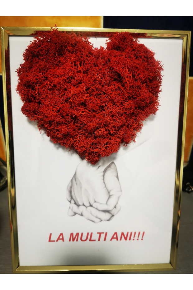 Table with licheni - 2