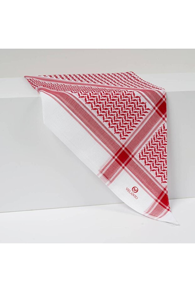 شملغ فيلنتو - 6