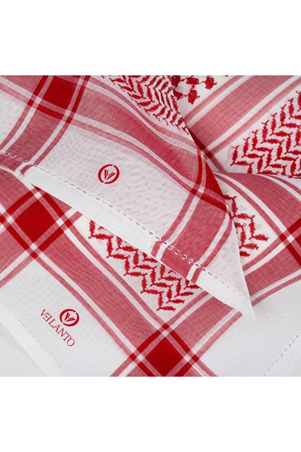 شملغ فيلنتو - 3