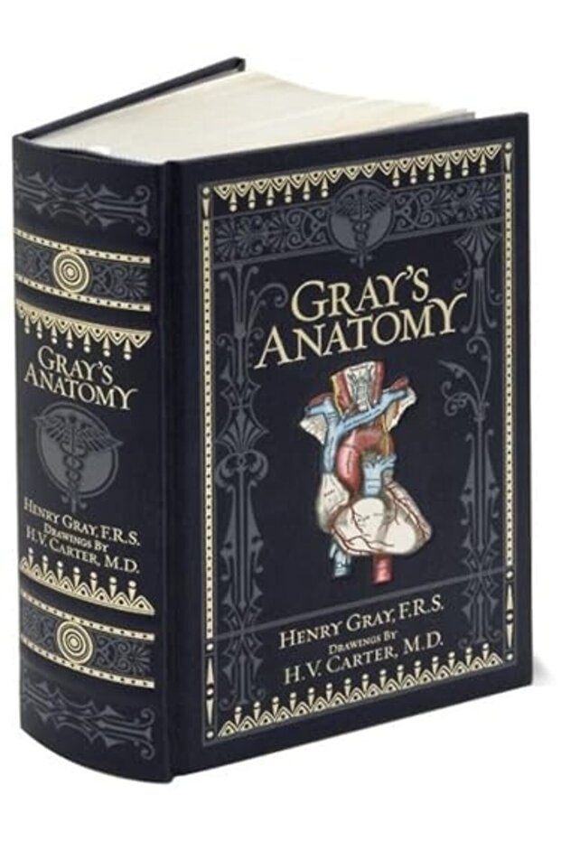 Gray's Anatmy (Barnes & Noble Collectible Classics: Omnibus Edition)