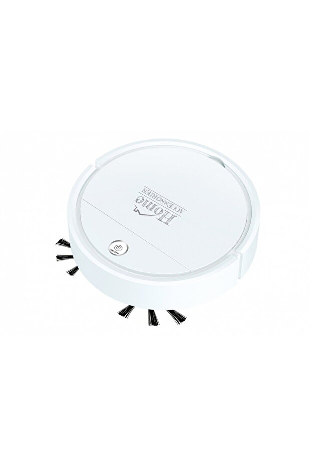 Home cleaning robot - 2