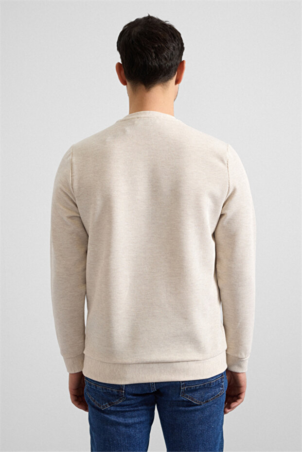 Bej Regular Düz Bisiklet Yaka Sweatshirt - 3