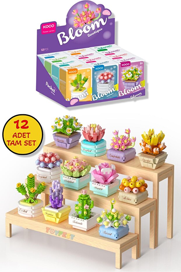 Koco Potted Flowers Succulent Series 3D Puzzle Collectible Full Set - 12 Pcs