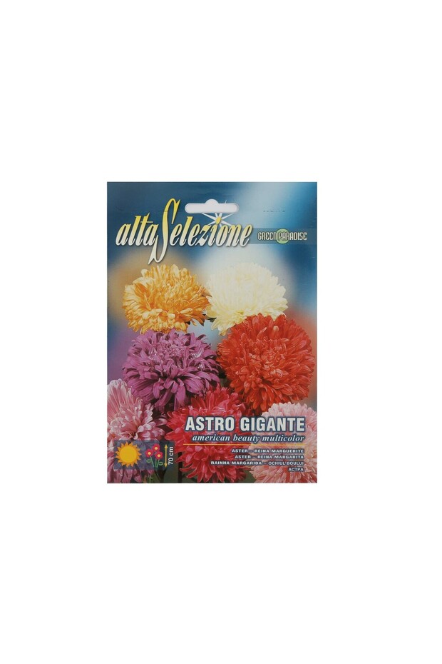 Mixed Seeds Aster