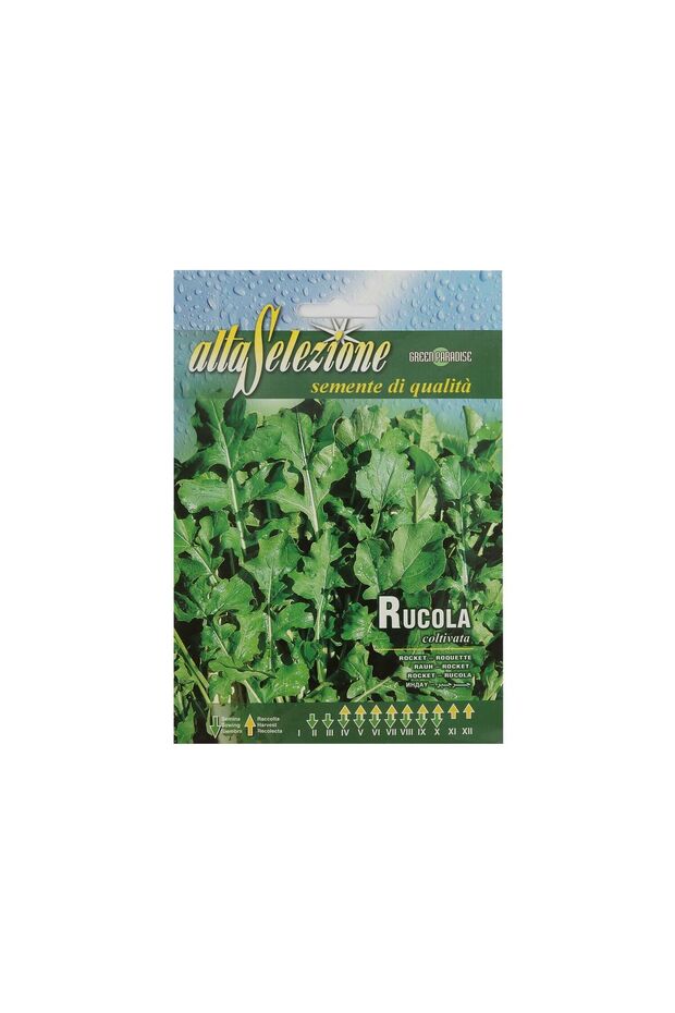 Rocket Seeds - 5