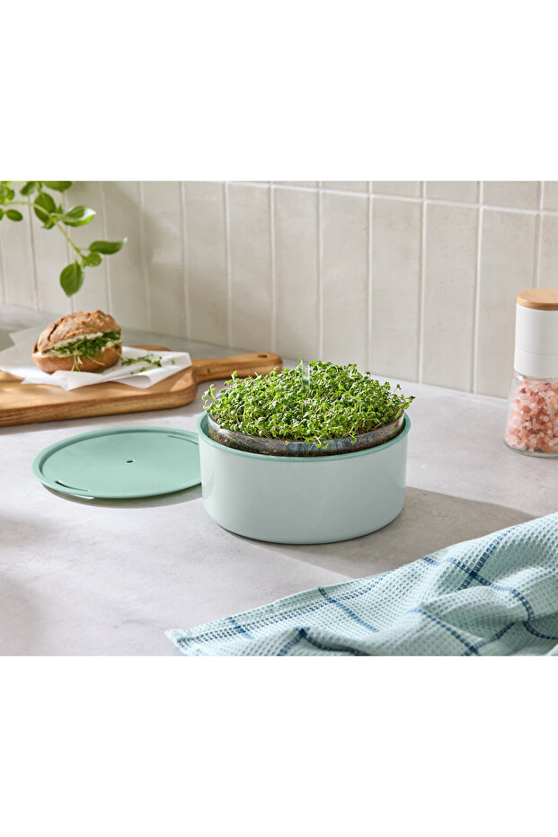 Bitki Yetiştirme Seti, “Microgreens” - 1