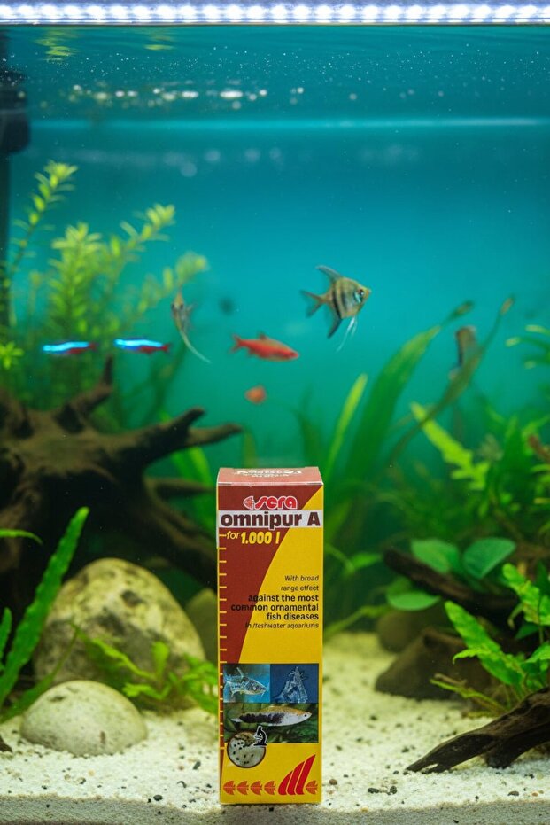 أومنيبور أ - 2