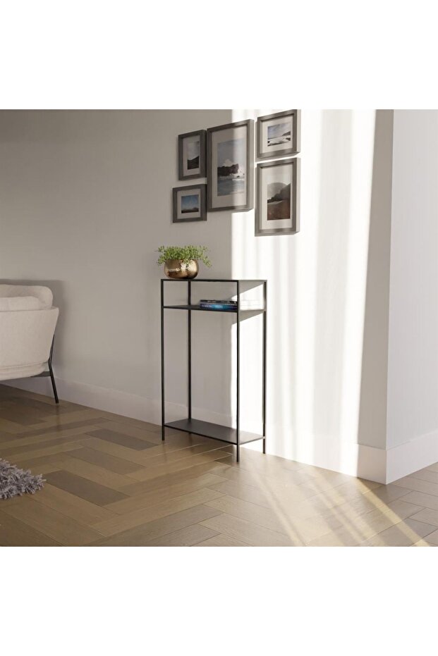 Roga Mod Konsol / Dresuar - 3