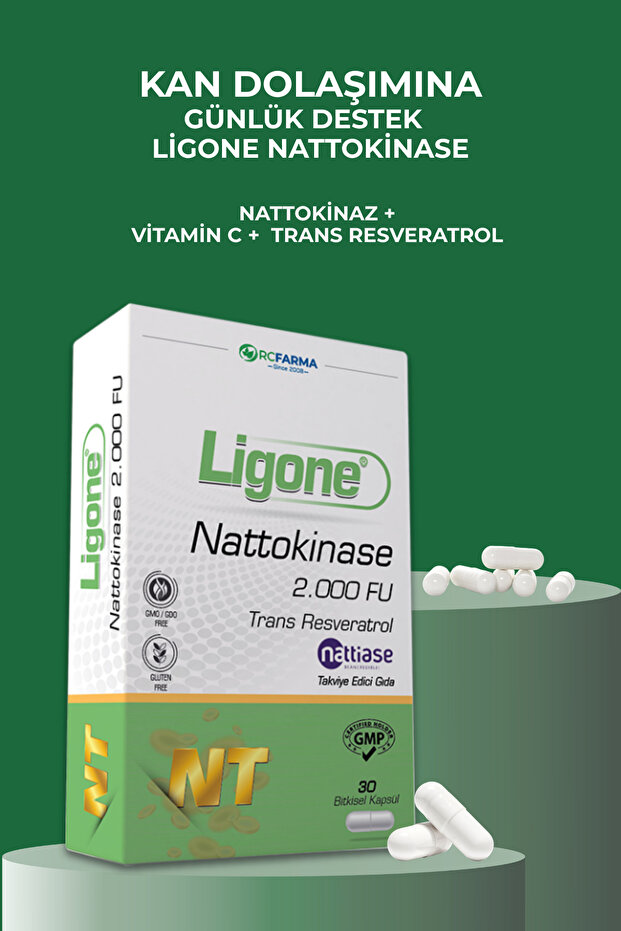 Nattokinase Bitkisel Kapsül 30 Kapsül - 2