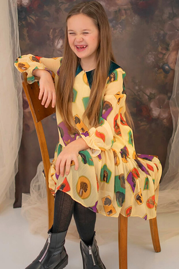 فستان كلب منقوش - 4