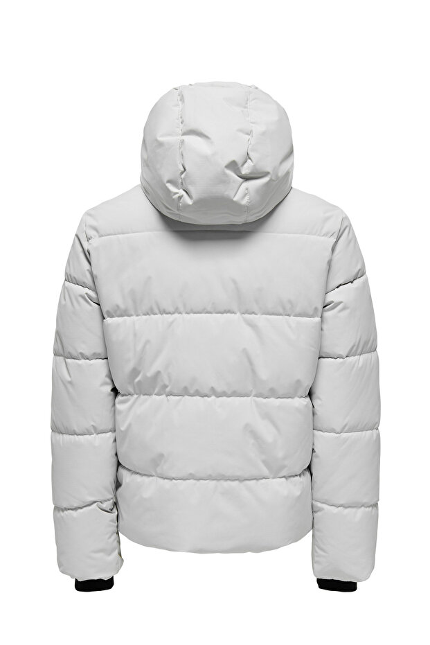 جاك أونسيليا جاك - 3