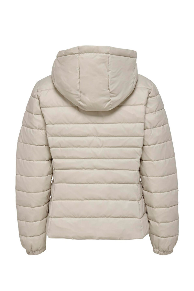 Bozkır köpeği - 3