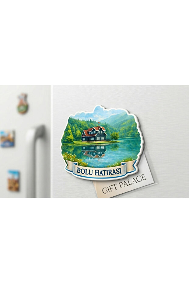 BOLU MAGNET - 1