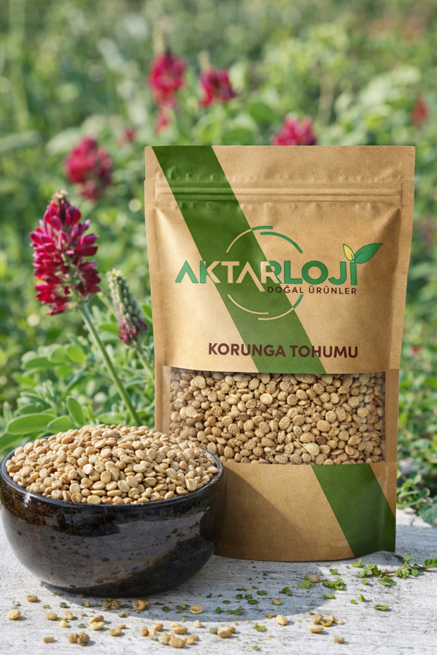 100 Gr Korunga Tohumu - Katkısız & Doğal - 4
