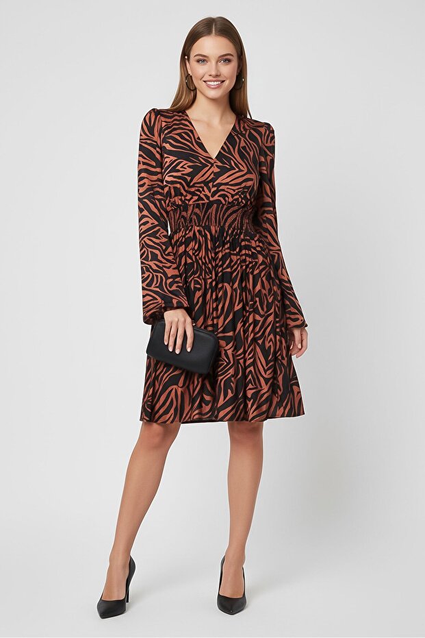 Women Zebra Print A-Line Dress, Multicolor