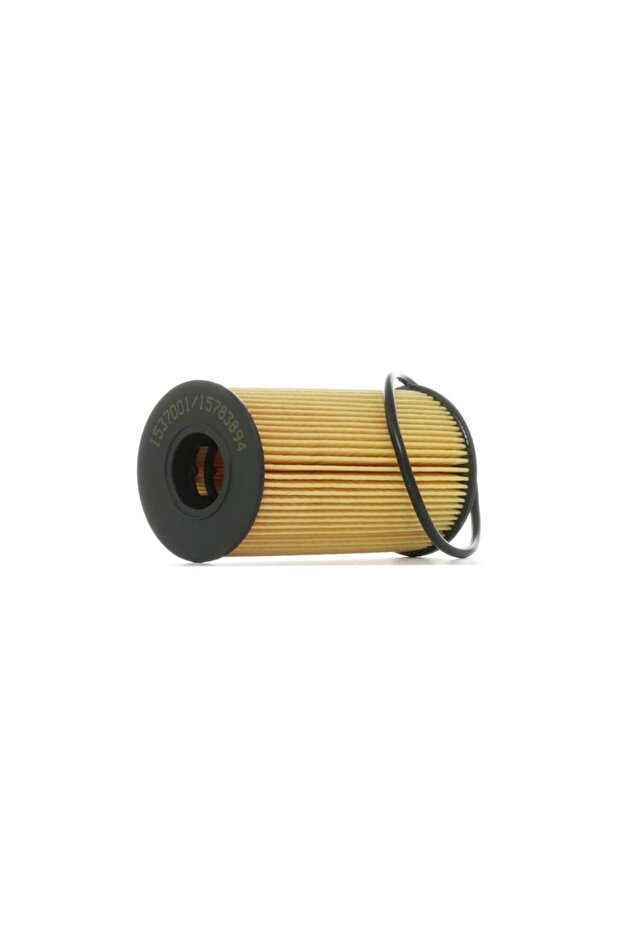 Range Rover engine oil filter - 1