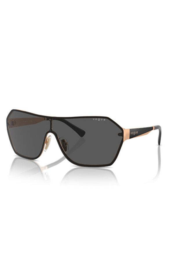 4302S 515287 41 Women's Sunglasses