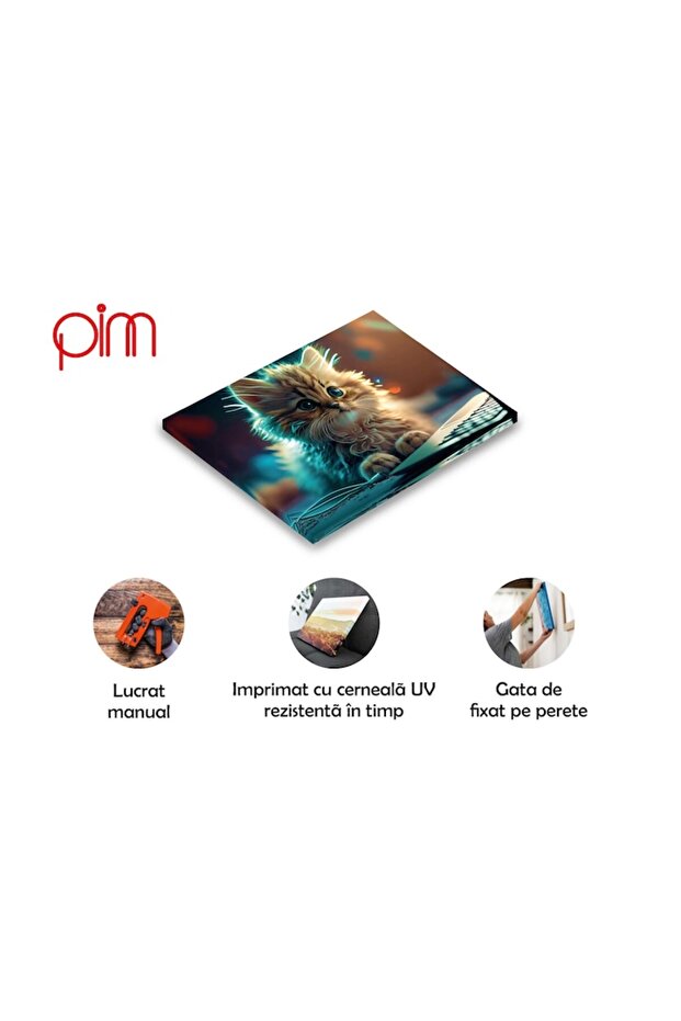 Cat Print Canvas - 2