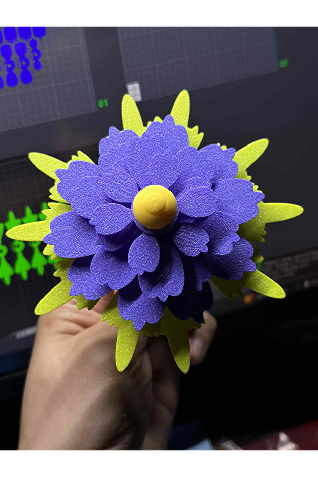 بلوم سبين كاسيمز - 1