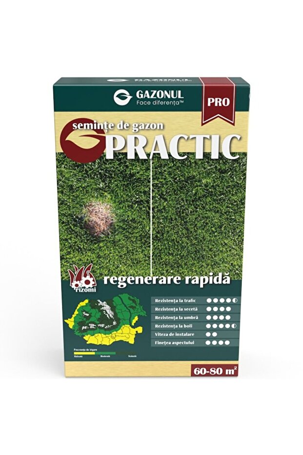 Seminte de gazon "Practic", 750g - 2
