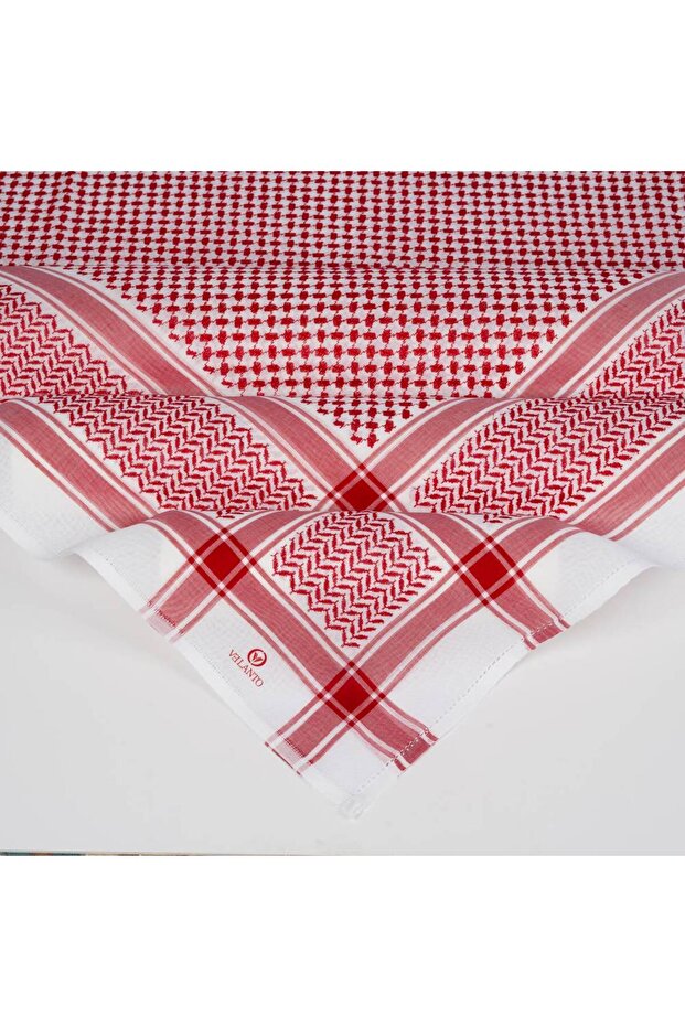 شملغ فيلنتو - 5