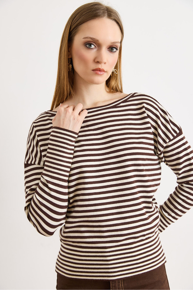 Women's Brown Striped Viscose Soft Textured Knitwear Blouse Blz-19003237
