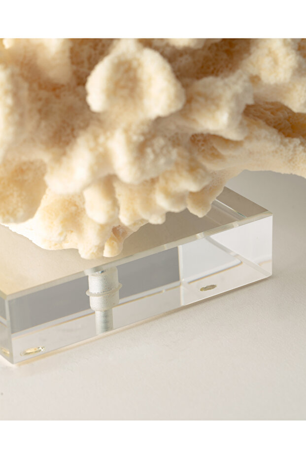 Fleur Biblo - Krem - 3