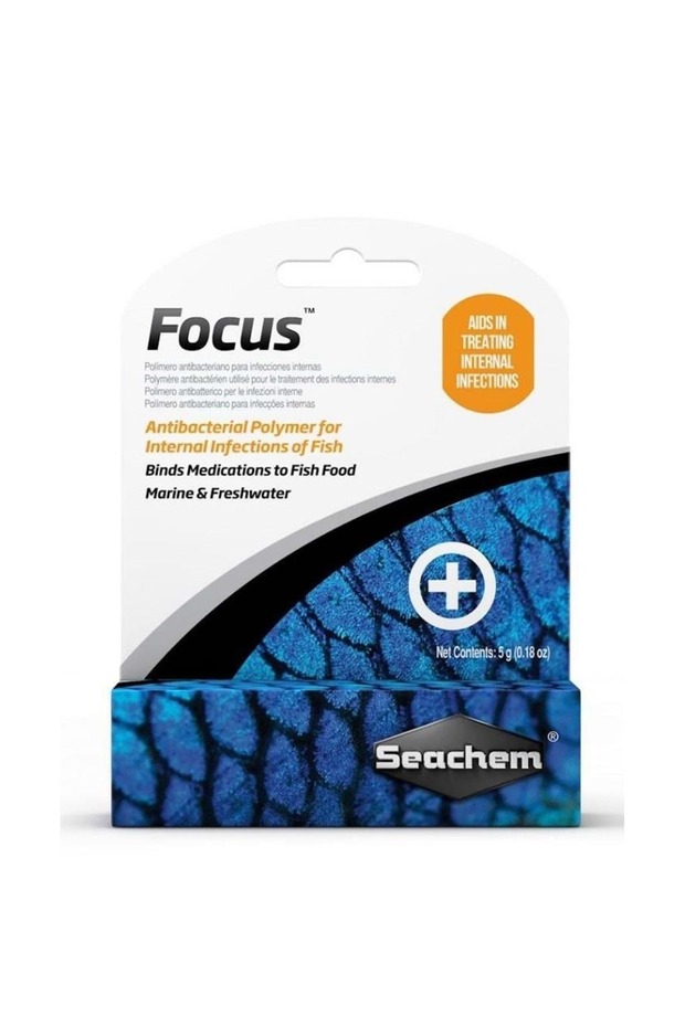 Focus 5 Gr - 2