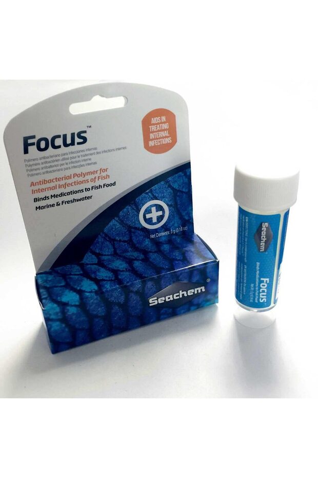 Focus 5 Gr - 1