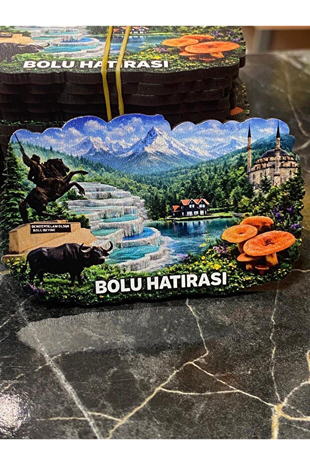 BOLU MAGNETİ
