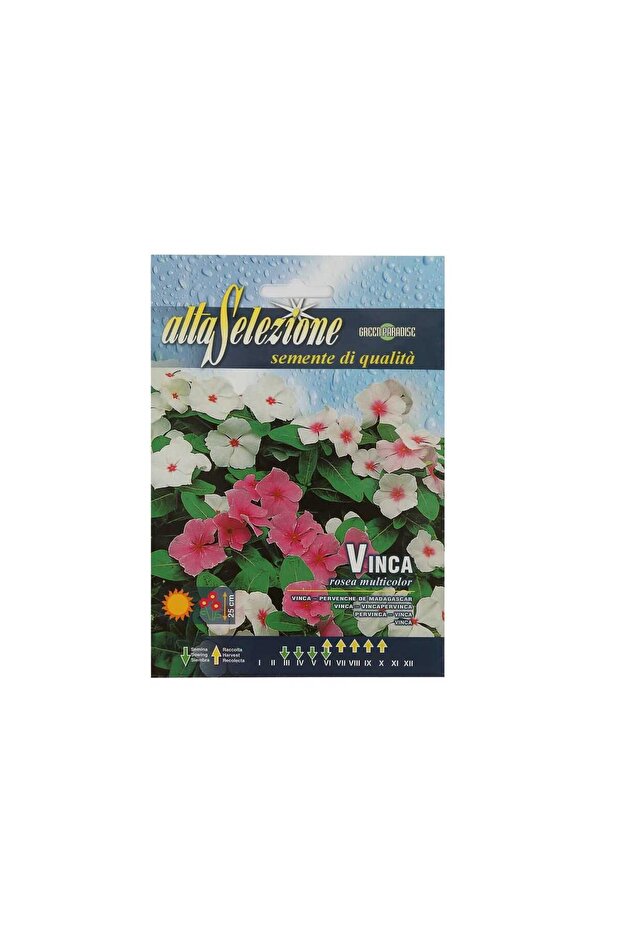 Vinca Mixed Seeds