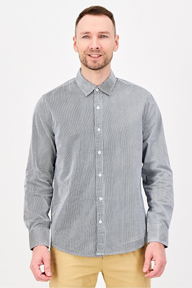 Men Regular Fit Stripe Long Sleeve Casual Shirt, Grey