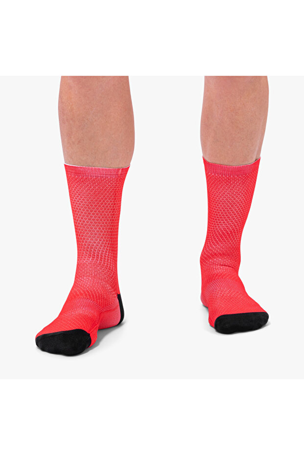 Sock - 2