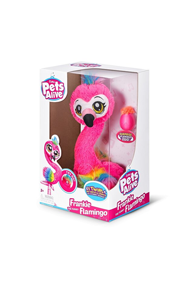 Frankie the dancing flamingoPets Alive - 1