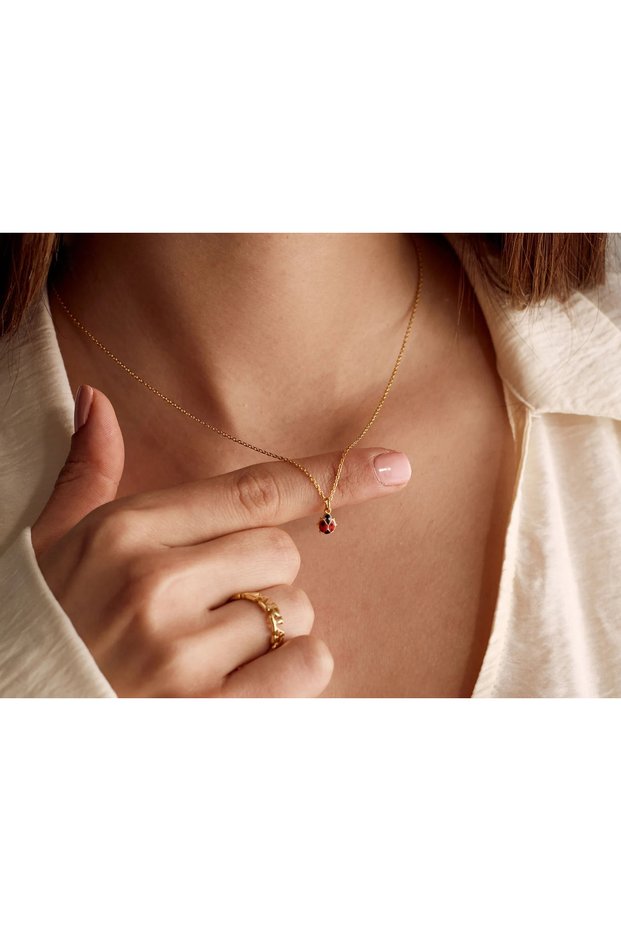 Ladybug Necklace / Luck Necklace / Good Luck Necklace