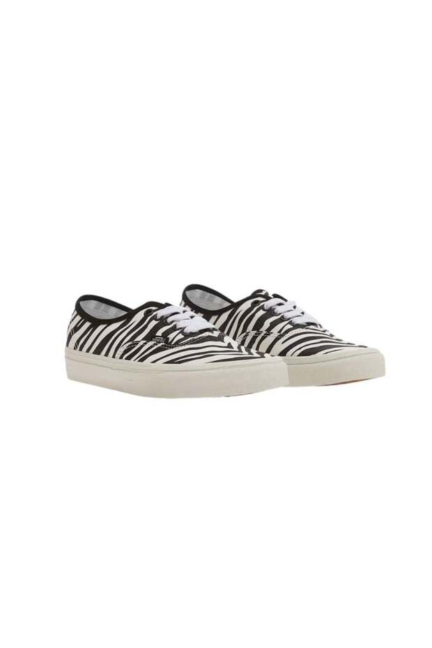Authentic Zebra - 2