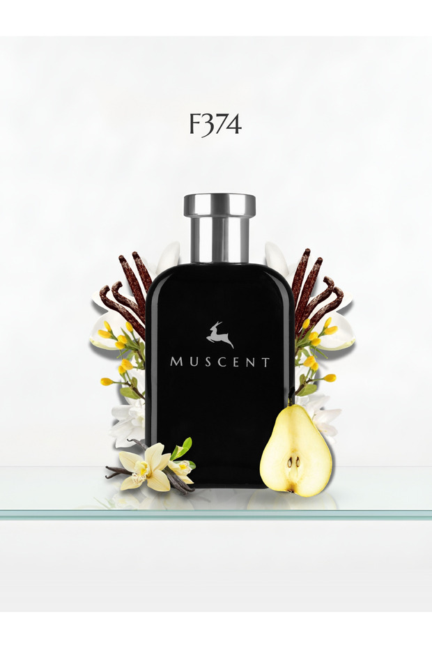 F374 – PParadoks 50 Ml. - 3