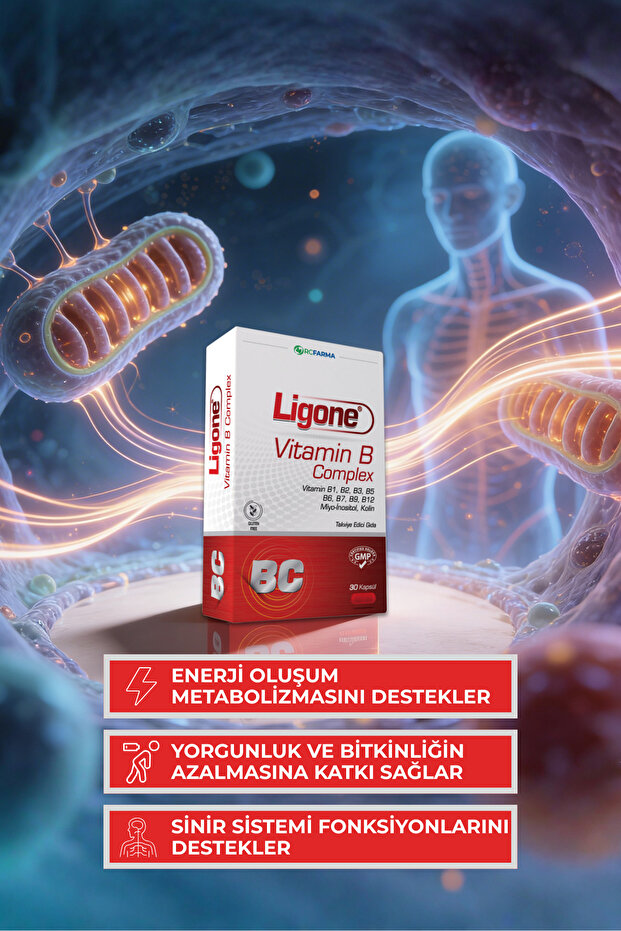 Vitamin B Complex Bitkisel Kapsül 30 Kapsül - 4