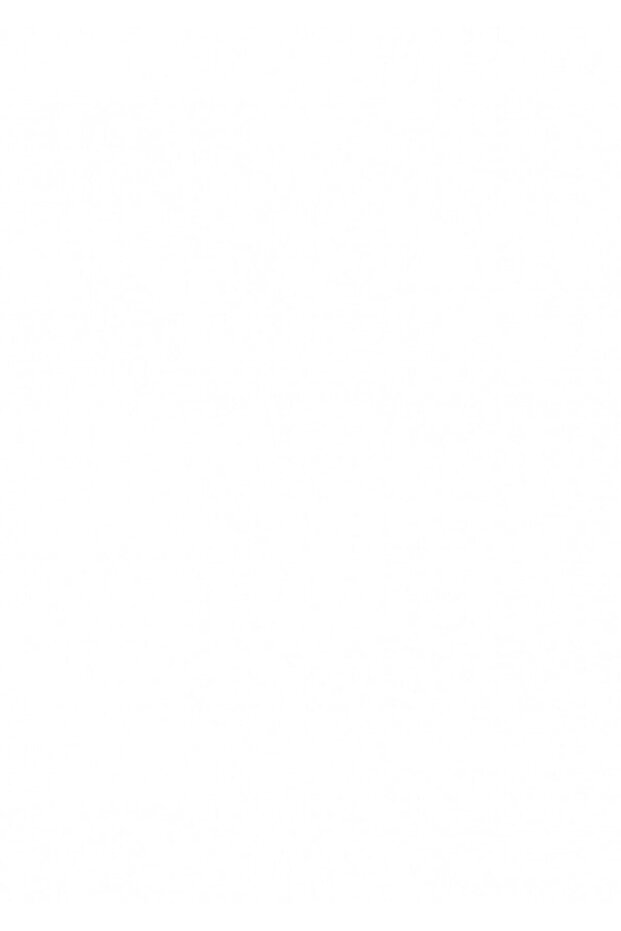 Stick 22 gr 1 Adet - 2