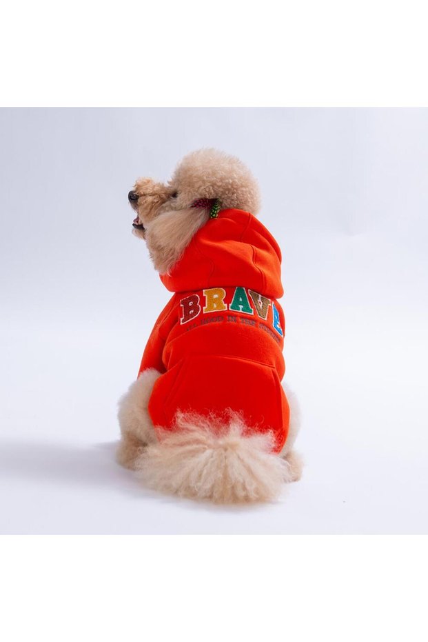 Orange Bronx Brave Dog Hoodie Dog Sweatshirt Dog Outfit Cat Outfit