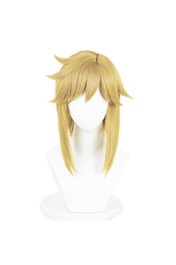 Wig A Only Link Cosplay Blonde Brown Wig Tears of the Kingdom Heat Resistant Synthetic Wigs for Hall