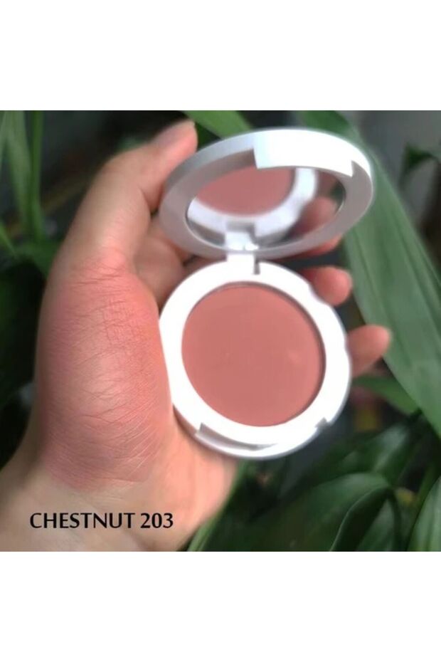 BLUSH POWDER CHESTNUT 4.5G